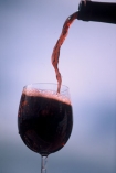 alcohol;bottle;bottles;drink;fill;glasses;grape;grapes;grapevine;liquor;pour;vine;vines;vineyard;vineyards;vintage;wine;wineries;winery;wines