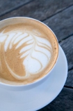 berverage;beverages;bowl;cafe;cafes;caffine;cafine;circle;Coffee;coffee-aroma;coffee-break;coffee-cup;coffee-cups;coffee-scent;coffee-shop;coffee-shops;coffee-smell;coffees;commodities;commodity;cup;cup-and-saucer;cup-of-coffee;cups;drink;drinks;Fern-Frond-Pattern;foam;foamy;fronds;froth;frothed;Latte;latte-coffe;lattes;milk;milky;N.I.;N.Z.;New-Zealand;NI;North-Island;NZ;outside;restaurant;restaurants;round;saucer;saucers;white-coffee