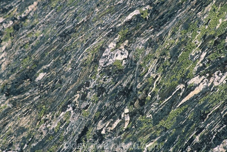 hard;lichen;lichens;pattern;patterns;rocks;stone;stones;texture;textures