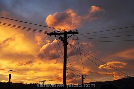 cloud;clouds;Dunedin;dusk;evening;line;lines;N.Z.;New-Zealand;nightfall;NZ;orange;Otago;pole;poles;post;posts;power-line;power-lines;power-pole;power-poles;S.I.;SI;skies;sky;South-Is.;South-Island;sunset;sunsets;telegraph-line;telegraph-lines;telegraph-pole;telegraph-poles;twilight;wire;wires