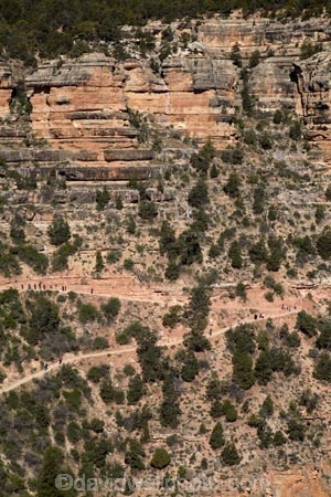 America;American-Southwest;Arizona;AZ;Bright-Angel-Track;Bright-Angel-Trail;Colorado-Plateau;Colorado-Plateau-Province;Gran-Cañón;Grand-Canyon;Grand-Canyon-National-Park;Grand-Canyon-South-Rim;hiker;hikers;hiking-path;hiking-paths;hiking-track;hiking-tracks;hiking-trail;hiking-trails;Ongtupqa;path;paths;pathway;pathways;people;person;route;routes;South-Rim;South-Rim-Grand-Canyon;South-west-United-States;South-west-US;South-west-USA;South-western-United-States;South-western-US;South-western-USA;Southwest-United-States;Southwest-US;Southwest-USA;Southwestern-United-States;Southwestern-US;Southwestern-USA;States;Sth-Rim;The-Grand-Canyon;the-Southwest;tourism;tourist;tourists;track;tracks;trail;trails;tramping-track;tramping-tracks;tramping-trail;tramping-trails;U.S.A;UN-world-heritage-area;UN-world-heritage-site;UNESCO-World-Heritage-area;UNESCO-World-Heritage-Site;united-nations-world-heritage-area;united-nations-world-heritage-site;United-States;United-States-of-America;USA;walker;walkers;walking-path;walking-paths;walking-track;walking-tracks;walking-trail;walking-trails;walkway;walkways;Wi:kai:la;world-heritage;world-heritage-area;world-heritage-areas;World-Heritage-Park;World-Heritage-site;World-Heritage-Sites