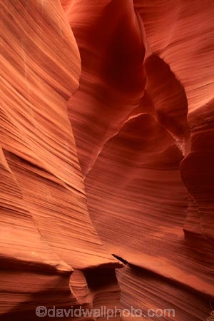 America;American-Southwest;Arizona;AZ;canyon;canyons;chasm;chasms;Colorado-Plateau;Colorado-Plateau-Province;eroded;erosion;geographic;geography;geological;geology;gorge;gorges;narrow-canyon;narrow-canyons;Navajo-Indian-Reservation;Navajo-Land;Navajo-Nation;Navajo-Reservation;Navajo-Sandstone;Page;Rattlesnake-Canyon;ravine;ravines;rock;rock-formation;rock-formations;rocks;Sandstone;slot-canyon;slot-canyons;South-west-United-States;South-west-US;South-west-USA;South-western-United-States;South-western-US;South-western-USA;Southwest-United-States;Southwest-US;Southwest-USA;Southwestern-United-States;Southwestern-US;Southwestern-USA;States;stone;the-Southwest;U.S.A;United-States;United-States-of-America;unusual-natural-feature;unusual-natural-features;USA;valley;valleys