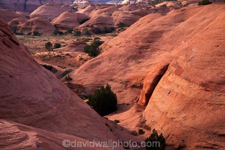 America;American-Southwest;Arizona;AZ;Colorado-Plateau;Colorado-Plateau-Province;geological;geology;Monument-Valley;Monument-Valley-Navajo-Tribal-Park;Mystery-Valley;natural-geological-formation;natural-geological-formations;Navajo-Indian-Reservation;Navajo-Nation;Navajo-Nation-Reservation;Navajo-Reservation;Oljato;Oljato-Monument-Valley;Oljato_Monument-Valley;rock;rock-formation;rock-formations;rock-outcrop;rock-outcrops;rocks;South-west-United-States;South-west-US;South-west-USA;South-western-United-States;South-western-US;South-western-USA;Southwest-United-States;Southwest-US;Southwest-USA;Southwestern-United-States;Southwestern-US;Southwestern-USA;States;stone;the-Southwest;TsÃ©-Bii-Ndzisgaii;U.S.A;United-States;United-States-of-America;unusual-natural-feature;unusual-natural-features;unusual-natural-formation;unusual-natural-formations;USA;UT;Utah;valley-of-the-rocks;wilderness;wilderness-area;wilderness-areas
