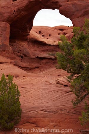 America;American-Southwest;archway;archways;Arizona;AZ;Colorado-Plateau;Colorado-Plateau-Province;geological;geology;Monument-Valley;Monument-Valley-Navajo-Tribal-Park;Mystery-Valley;Natural-Arch;Natural-Arches;natural-bridge;natural-bridges;natural-geological-formation;natural-geological-formations;Natural-Rock-Arch;natural-rock-arches;natural-rock-archs;natural-rock-bridge;natural-rock-bridges;Navajo-Indian-Reservation;Navajo-Nation;Navajo-Nation-Reservation;Navajo-Reservation;Oljato;Oljato-Monument-Valley;Oljato_Monument-Valley;rock;rock-arch;rock-arches;rock-formation;rock-formations;rock-outcrop;rock-outcrops;rocks;South-west-United-States;South-west-US;South-west-USA;South-western-United-States;South-western-US;South-western-USA;Southwest-United-States;Southwest-US;Southwest-USA;Southwestern-United-States;Southwestern-US;Southwestern-USA;States;stone;the-Southwest;TsÃ©-Bii-Ndzisgaii;U.S.A;United-States;United-States-of-America;unusual-natural-feature;unusual-natural-features;unusual-natural-formation;unusual-natural-formations;USA;UT;Utah;valley-of-the-rocks;wilderness;wilderness-area;wilderness-areas