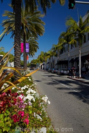 America;Beverly-Hills;boutique;boutiques;building;buildings;CA;California;commerce;commercial;flower;flower-beds;flower-garden;flower-gardens;flowers;L.A.;LA;lavish;Los-Angeles;luxury;luxury-shop;luxury-shopping-street;luxury-shopping-streets;luxury-shops;luxury-store;luxury-stores;N-Rodeo-Dr;N.-Rodeo-Dr;North-Rodeo-Drive;opulence;palm;palm-tree;palm-trees;palms;retail;retail-store;retailer;retailers;Rodeo-Drive;shop;shopper;shoppers;shopping;shops;States;store;stores;street;street-scene;street-scenes;streets;tree;trees;U.S.A;United-States;United-States-of-America;USA;West-Coast;West-United-States;West-US;West-USA;Western-United-States;Western-US;Western-USA