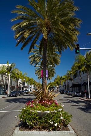 America;Beverly-Hills;boutique;boutiques;building;buildings;CA;California;commerce;commercial;flower;flower-beds;flower-garden;flower-gardens;flowers;L.A.;LA;lavish;Los-Angeles;luxury;luxury-shop;luxury-shopping-street;luxury-shopping-streets;luxury-shops;luxury-store;luxury-stores;N-Rodeo-Dr;N.-Rodeo-Dr;North-Rodeo-Drive;opulence;palm;palm-tree;palm-trees;palms;retail;retail-store;retailer;retailers;Rodeo-Drive;shop;shopper;shoppers;shopping;shops;States;store;stores;street;street-scene;street-scenes;streets;tree;trees;U.S.A;United-States;United-States-of-America;USA;West-Coast;West-United-States;West-US;West-USA;Western-United-States;Western-US;Western-USA