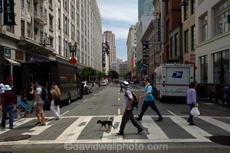America;American;Bay-Area;CA;California;crossing;crossings;downtown-San-Francisco;OFarrell-St;OFarrell-Street;pedestrian;Pedestrian-crossing;Pedestrian-crossings;pedestrians;people;San-Francisco;San-Francisco-Bay;San-Francisco-Bay-Area;San-Francisco-CBD;States;street;street-scene;street-scenes;streets;U.S.A;United-States;United-States-of-America;USA;West-Coast;West-United-States;West-US;West-USA;Western-United-States;Western-US;Western-USA;zebra-crossing;zebra-crossings