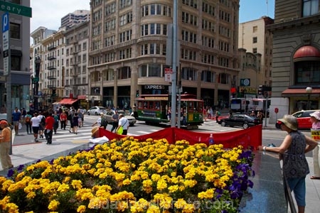 America;American;Bay-Area;CA;California;downtown-San-Francisco;flower;flower-garden;flower-gardens;flowerbed;flowerbeds;flowers;garden;gardens;Powell-St;Powell-Street;public-plaza;public-plazas;public-transport;public-transportation;rail;rails;road;roads;roadway;San-Francisco;San-Francisco-CBD;States;street;street-car;street-cars;street-scene;street-scenes;street_car;street_cars;streetcar;streetcars;streets;tram;tram-car;tram-cars;tram_car;tram_cars;tram_way;tram_ways;tramcar;tramcars;trams;tramway;tramways;transport;transportation;trolley;trolleys;U.S.A;Union-Sq;Union-Square;United-States;United-States-of-America;USA;West-Coast;West-United-States;West-US;West-USA;Western-United-States;Western-US;Western-USA;yellow;yellow-flowers