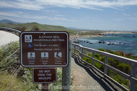 America;American;animal;animals;Big-Sur;boardwalk;boardwalks;CA;California;California-1;California-Central-Coast;California-State-Route-1;Central-Coast;coast;coastal;coastline;coastlines;coasts;crowd;crowded;crowds;elephant-seal;Elephant-seal-colony;elephant-seals;mammal;mammals;marine-mammal;marine-mammals;Mirounga-angustirostris;Northern-Elephant-Seal;ocean;oceans;Pacific;Pacific-Coast;Pacific-Coast-Highway;Pacific-Coast-Road;Pacific-Ocean;Piedras-Blancas;Piedras-Blancas-elephant-seal-rookery;Piedras-Blancas-rookery;Point-Piedras-Blancas;rookeries;rookery;San-Simeon;sea;seal;Seal-colony;Seal-rookery;seals;seas;shore;shoreline;shorelines;shores;sign;signs;States;The-Big-Sur;The-Central-Coast;U.S.A;United-States;United-States-of-America;USA;viewing-path;water;West-Coast;West-United-States;West-US;West-USA;Western-United-States;Western-US;Western-USA;wildlife