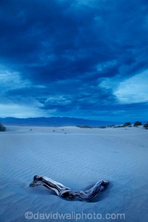 4168;america;american;approaching-storm;approaching-storms;black-cloud;black-clouds;CA;california;cloud;clouds;cloudy;dark-cloud;dark-clouds;dead-tree;dead-trees;death;Death-Valley;Death-Valley-N.P.;Death-Valley-National-Park;desert;dune;dunes;gray-cloud;gray-clouds;Great-Basin;grey-cloud;grey-clouds;International-Biosphere-Reserve;Inyo-County;log;logs;Mesquite-Flat;Mesquite-Flat-Dunes;Mesquite-Flat-Sand-Dunes;mojave;Mojave-Desert;national;national-park;National-parks;park;rain-cloud;rain-clouds;rain-storm;rain-storms;sand;sand-dune;Sand-Dunes;sand-hill;sand-hills;sand_dune;sand_dunes;sand_hill;sand_hills;sanddune;sanddunes;sandhill;sandhills;sandy;states;storm;storm-cloud;storm-clouds;storms;stovepipe;Stovepipe-Wells;The-Great-Basin;thunder-storm;thunder-storms;thunderstorm;thunderstorms;U.S.A;United-States;United-States-of-America;usa;valley;weather;wells;west-coast;West-United-States;West-US;West-USA;Western-United-States;Western-US;Western-USA
