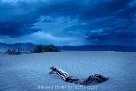 4175;america;american;approaching-storm;approaching-storms;black-cloud;black-clouds;CA;california;cloud;clouds;cloudy;dark-cloud;dark-clouds;dead-tree;dead-trees;death;Death-Valley;Death-Valley-N.P.;Death-Valley-National-Park;desert;dune;dunes;gray-cloud;gray-clouds;Great-Basin;grey-cloud;grey-clouds;International-Biosphere-Reserve;Inyo-County;log;logs;Mesquite-Flat;Mesquite-Flat-Dunes;Mesquite-Flat-Sand-Dunes;mojave;Mojave-Desert;national;national-park;National-parks;park;rain-cloud;rain-clouds;rain-storm;rain-storms;sand;sand-dune;Sand-Dunes;sand-hill;sand-hills;sand_dune;sand_dunes;sand_hill;sand_hills;sanddune;sanddunes;sandhill;sandhills;sandy;states;storm;storm-cloud;storm-clouds;storms;stovepipe;Stovepipe-Wells;The-Great-Basin;thunder-storm;thunder-storms;thunderstorm;thunderstorms;U.S.A;United-States;United-States-of-America;usa;valley;weather;wells;west-coast;West-United-States;West-US;West-USA;Western-United-States;Western-US;Western-USA