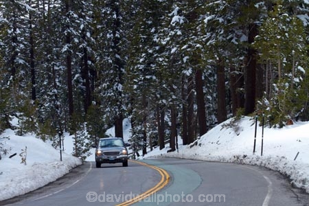 s-bend;s-bends;4wd;4wds;4wds;4x4;4x4s;4x4s;7990-feet;7990-ft;altitude;America;American;bend;bends;CA;California;Carson-Pass;Carson-Pass-Highway;Carson-Spur;cold;conifer;conifers;corner;corners;curve;curves;danger;dangerous;elevation-7990ft;forest;forests;four-by-four;four-by-fours;four-wheel-drive;four-wheel-drives;icy-road;icy-roads;Kit-Carson-Pass;mountain;mountain-range;mountain-ranges;mountains-range;no-passing-line;no-passing-lines;ranges;road;roads;s-bend;s-bends;Sierra-Nevada;Sierra-Nevada-Mountain-Range;Sierra-Nevadas;slippery-road;slippery-roads;snow;snow-capped;snow_capped;snowcapped;snowy;sports-utility-vehicle;sports-utility-vehicles;spring;spring-time;spring_time;SR-88;State-Route-88;States;suv;suvs;tree;trees;U.S.A;United-States;United-States-of-America;USA;vehicle;vehicles;West-Coast;West-United-States;West-US;West-USA;Western-United-States;Western-US;Western-USA;winter-driving