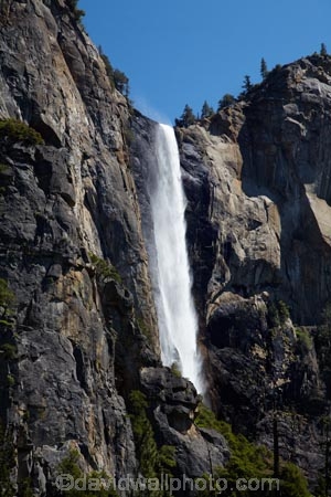America;American;bluff;bluffs;Bridal-Veil-Fall;Bridal-Veil-Falls;Bridalveil-Creek;Bridalveil-Fall;Bridalveil-Falls;CA;California;cascade;cascades;cliff;cliffs;fall;falls;national-park;national-parks;natural;nature;scene;scenic;Sierra-Nevada;Sierra-Nevada-foothills;States;U.S.A;UN-world-heritage-area;UN-world-heritage-site;UNESCO-World-Heritage-area;UNESCO-World-Heritage-Site;united-nations-world-heritage-area;united-nations-world-heritage-site;United-States;United-States-of-America;USA;water;water-fall;water-falls;waterfall;waterfalls;West-Coast;West-United-States;West-US;West-USA;Western-United-States;Western-US;Western-USA;wet;world-heritage;world-heritage-area;world-heritage-areas;World-Heritage-Park;World-Heritage-site;World-Heritage-Sites;Yosemite;Yosemite-N.P.;Yosemite-Nat-Pk;Yosemite-National-Park;Yosemite-NP;Yosemite-Valley