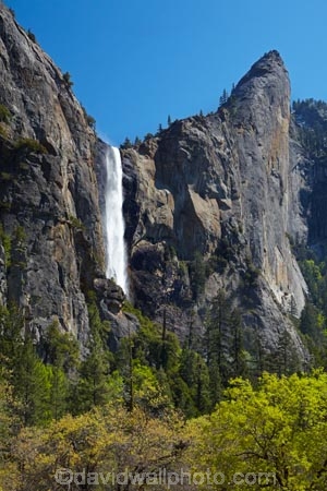 America;American;bluff;bluffs;Bridal-Veil-Fall;Bridal-Veil-Falls;Bridalveil-Creek;Bridalveil-Fall;Bridalveil-Falls;CA;California;cascade;cascades;cliff;cliffs;fall;falls;forest;forested;forests;national-park;national-parks;natural;nature;scene;scenic;Sierra-Nevada;Sierra-Nevada-foothills;States;tree;trees;U.S.A;UN-world-heritage-area;UN-world-heritage-site;UNESCO-World-Heritage-area;UNESCO-World-Heritage-Site;united-nations-world-heritage-area;united-nations-world-heritage-site;United-States;United-States-of-America;USA;water;water-fall;water-falls;waterfall;waterfalls;West-Coast;West-United-States;West-US;West-USA;Western-United-States;Western-US;Western-USA;wet;world-heritage;world-heritage-area;world-heritage-areas;World-Heritage-Park;World-Heritage-site;World-Heritage-Sites;Yosemite;Yosemite-N.P.;Yosemite-Nat-Pk;Yosemite-National-Park;Yosemite-NP;Yosemite-Valley