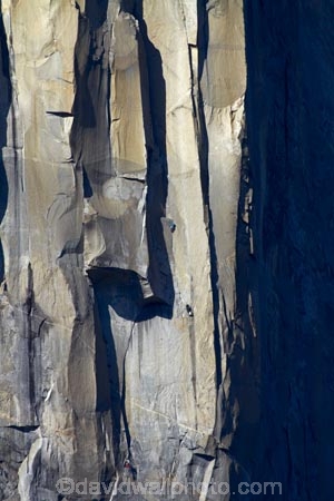 Ability;Activity;Adventure-sports;America;American;Ascend;Ascending;Ascension;Ascent;bluff;bluffs;Brave;Bravery;CA;California;cliff;cliffs;Climb;climber;Climbers;climbing;Courage;Danger;Dangerous;Daytime;Determination;Dexterity;Difficult;Difficulty;El-Capitan;El-Capitan-Granite;Exterior;Extreme;granite;granite-monolith;Harness;Harnesses;Hazard;high;Leisure;monoliths;Mountain;Mountaineering;mountainous;Mountains;national-park;national-parks;One;One-person;Outdoor;Outdoors;Outside;People;Person;Persons;Recreation;Risk;risky;Rock;rock-climber;rock-climbers;Rock-Climbing;rock-formation;rock-formations;Rocks;rope;ropes;Scale;Sierra-Nevada;Sierra-Nevada-foothills;Skill;Skilled;Sport;Sports;States;steep;Strength;Tough;U.S.A;UN-world-heritage-area;UN-world-heritage-site;UNESCO-World-Heritage-area;UNESCO-World-Heritage-Site;united-nations-world-heritage-area;united-nations-world-heritage-site;United-States;United-States-of-America;USA;Vertical;West-Coast;West-United-States;West-US;West-USA;Western-United-States;Western-US;Western-USA;world-heritage;world-heritage-area;world-heritage-areas;World-Heritage-Park;World-Heritage-site;World-Heritage-Sites;Yosemite;Yosemite-N.P.;Yosemite-Nat-Pk;Yosemite-National-Park;Yosemite-NP