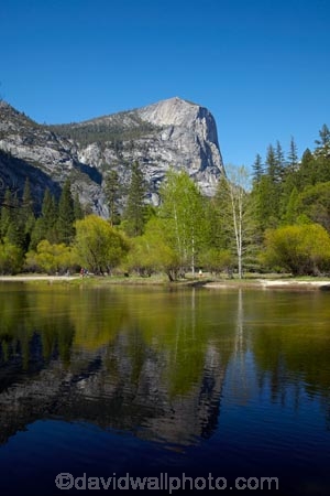 America;American;bluff;bluffs;brook;brooks;CA;California;calm;cliff;cliffs;creek;creeks;forest;forested;forests;granite-dome;Mirror-Lake;Mirror-Lake-Look-Trail;Mirror-Lake-Trail;Mount-Watkins;mountain;mountainous;mountains;Mt-Watkins;Mt.-Watkins;national-park;national-parks;placid;quiet;reflected;reflection;reflections;serene;Sierra-Nevada;Sierra-Nevada-foothills;smooth;States;still;stream;streams;Tenaya-Canyon;Tenaya-Creek;Tenaya-River;Tenaya-Stream;tranquil;tree;trees;U.S.A;UN-world-heritage-area;UN-world-heritage-site;UNESCO-World-Heritage-area;UNESCO-World-Heritage-Site;united-nations-world-heritage-area;united-nations-world-heritage-site;United-States;United-States-of-America;USA;valley;valleys;water;West-Coast;West-United-States;West-US;West-USA;Western-United-States;Western-US;Western-USA;world-heritage;world-heritage-area;world-heritage-areas;World-Heritage-Park;World-Heritage-site;World-Heritage-Sites;Yosemite;Yosemite-N.P.;Yosemite-Nat-Pk;Yosemite-National-Park;Yosemite-NP;Yosemite-Valley