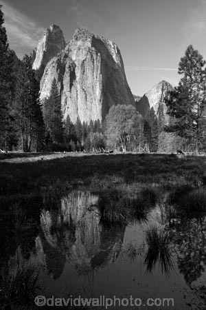 America;American;b-amp;-w;b-and-w;bamp;w;black-amp;-white;black-and-white;black_and_white;bluff;bluffs;CA;California;calm;Cathedral-Rocks;cliff;cliffs;deer;doe;does;female;female-deer;females;field;fields;forest;forested;forests;grass;gray;grey;Higher-Cathedral-Rock;mammal;meadow;meadows;Middle-Cathedral-Rock;monochromatic;monochrome;monochromic;monochromous;mountain;mountainous;mountains;Mule-deer;national-park;national-parks;Odocoileus-hemionus;paddock;paddocks;pasture;pastures;placid;pond;ponds;pool;pools;puddle;puddles;quiet;reflected;reflection;reflections;serene;Sierra-Nevada;Sierra-Nevada-foothills;smooth;States;still;tranquil;tree;trees;U.S.A;UN-world-heritage-area;UN-world-heritage-site;UNESCO-World-Heritage-area;UNESCO-World-Heritage-Site;united-nations-world-heritage-area;united-nations-world-heritage-site;United-States;United-States-of-America;USA;valley;valleys;water;West-Coast;West-United-States;West-US;West-USA;Western-United-States;Western-US;Western-USA;wildlife;world-heritage;world-heritage-area;world-heritage-areas;World-Heritage-Park;World-Heritage-site;World-Heritage-Sites;Yosemite;Yosemite-N.P.;Yosemite-Nat-Pk;Yosemite-National-Park;Yosemite-NP;Yosemite-Valley