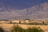8484;amargosa-mountains;amargosa-range;america;american;CA;california;death;Death-Valley;Death-Valley-N.P.;Death-Valley-National-Park;desert;dune;dunes;Grapevine-Mountains;Grapevine-Mtns;Great-Basin;hiker;hikers;International-Biosphere-Reserve;Inyo-County;Mesquite-Flat;Mesquite-Flat-Dunes;Mesquite-Flat-Sand-Dunes;mojave;Mojave-Desert;national;national-park;National-parks;park;people;person;sand;sand-dune;Sand-Dunes;sand-hill;sand-hills;sand_dune;sand_dunes;sand_hill;sand_hills;sanddune;sanddunes;sandhill;sandhills;sandy;states;stovepipe;Stovepipe-Wells;The-Great-Basin;tourism;tourist;tourists;U.S.A;United-States;United-States-of-America;usa;valley;visitor;visitors;walker;walkers;wells;west-coast;West-United-States;West-US;West-USA;Western-United-States;Western-US;Western-USA