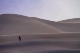 8515;america;american;CA;california;death;Death-Valley;Death-Valley-N.P.;Death-Valley-National-Park;desert;dune;dunes;Grapevine-Mountains;Grapevine-Mtns;Great-Basin;hiker;hikers;International-Biosphere-Reserve;Inyo-County;Mesquite-Flat;Mesquite-Flat-Dunes;Mesquite-Flat-Sand-Dunes;mojave;Mojave-Desert;national;national-park;National-parks;park;people;person;sand;sand-dune;Sand-Dunes;sand-hill;sand-hills;sand_dune;sand_dunes;sand_hill;sand_hills;sanddune;sanddunes;sandhill;sandhills;sandy;states;stovepipe;Stovepipe-Wells;The-Great-Basin;tourism;tourist;tourists;U.S.A;United-States;United-States-of-America;usa;valley;visitor;visitors;walker;walkers;wells;west-coast;West-United-States;West-US;West-USA;Western-United-States;Western-US;Western-USA