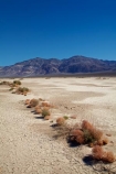 4217;alkalii-flat;america;american;barren;barreness;basin;bush;bushes;CA;california;clay-pan;clay-pans;death;Death-Valley;Death-Valley-N.P.;Death-Valley-National-Park;depression;desert;desert-plant;desert-plants;deserts;desolate;dry;dry-lake;dry-lake-bed;dry-lake-beds;dry-lakes;empty;endorheic-basin;endorheric;endorheric-basin;endorheric-basins;endorheric-lake;extreme;flat;geographic;geography;glare;glary;Great-Basin;International-Biosphere-Reserve;Inyo-County;lake;lake-bed;lake-beds;lakes;mojave;Mojave-Desert;national;national-park;National-parks;pan;Panamint-Range;Panamint-Valley;pans;park;playa;playas;sabkha;saline;salt;salt-crust;salt-flat;salt-flats;salt-lake;salt-lakes;salt-pan;salt-pans;salt_pan;salt_pans;saltpan;saltpans;salty;scrub;states;The-Great-Basin;U.S.A;United-States;United-States-of-America;usa;valley;vast;vlei;west-coast;West-United-States;West-US;West-USA;Western-United-States;Western-US;Western-USA;white;white-surface