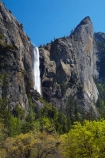 America;American;bluff;bluffs;Bridal-Veil-Fall;Bridal-Veil-Falls;Bridalveil-Creek;Bridalveil-Fall;Bridalveil-Falls;CA;California;cascade;cascades;cliff;cliffs;fall;falls;forest;forested;forests;national-park;national-parks;natural;nature;scene;scenic;Sierra-Nevada;Sierra-Nevada-foothills;States;tree;trees;U.S.A;UN-world-heritage-area;UN-world-heritage-site;UNESCO-World-Heritage-area;UNESCO-World-Heritage-Site;united-nations-world-heritage-area;united-nations-world-heritage-site;United-States;United-States-of-America;USA;water;water-fall;water-falls;waterfall;waterfalls;West-Coast;West-United-States;West-US;West-USA;Western-United-States;Western-US;Western-USA;wet;world-heritage;world-heritage-area;world-heritage-areas;World-Heritage-Park;World-Heritage-site;World-Heritage-Sites;Yosemite;Yosemite-N.P.;Yosemite-Nat-Pk;Yosemite-National-Park;Yosemite-NP;Yosemite-Valley