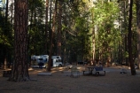 America;American;CA;California;Camp;Camp-Ground;Camp-Grounds;Camp-Site;Camp-Sites;camper;camper-van;camper-vans;camper_van;camper_vans;campers;campervan;campervans;campground;campgrounds;Camping;Camping-Area;Camping-Areas;Camping-Ground;Camping-Grounds;Camping-Site;Camping-Sites;Caravan-Park;Caravan-Parks;Cruise-America-R.V.;Cruise-America-R.V.s;Cruise-America-RV;Cruise-America-RVs;driving;forest;forested;forests;highway;highways;Holiday;Holiday-Park;Holiday-Parks;holidays;motor-caravan;motor-caravans;motor-home;motor-homes;motor_home;motor_homes;motorhome;motorhomes;national-park;national-parks;open-road;open-roads;R.V.;R.V.s;recreational-vehicle;recreational-vehicles;road;road-trip;roads;rv;rvs;Sierra-Nevada;Sierra-Nevada-foothills;States;tour;touring;tourism;tourist;tourists;transport;transportation;travel;traveler;travelers;traveling;traveller;travellers;travelling;tree;trees;trip;U.S.A;UN-world-heritage-area;UN-world-heritage-site;UNESCO-World-Heritage-area;UNESCO-World-Heritage-Site;united-nations-world-heritage-area;united-nations-world-heritage-site;United-States;United-States-of-America;Upper-Pines-Campground;USA;vacation;vacations;van;vans;West-Coast;West-United-States;West-US;West-USA;Western-United-States;Western-US;Western-USA;world-heritage;world-heritage-area;world-heritage-areas;World-Heritage-Park;World-Heritage-site;World-Heritage-Sites;Yosemite;Yosemite-N.P.;Yosemite-Nat-Pk;Yosemite-National-Park;Yosemite-NP;Yosemite-Valley