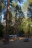 America;American;CA;California;Camp;Camp-Ground;Camp-Grounds;Camp-Site;Camp-Sites;camper;camper-van;camper-vans;camper_van;camper_vans;campers;campervan;campervans;campground;campgrounds;Camping;Camping-Area;Camping-Areas;Camping-Ground;Camping-Grounds;Camping-Site;Camping-Sites;Caravan-Park;Caravan-Parks;Cruise-America-R.V.;Cruise-America-R.V.s;Cruise-America-RV;Cruise-America-RVs;driving;forest;forested;forests;highway;highways;Holiday;Holiday-Park;Holiday-Parks;holidays;motor-caravan;motor-caravans;motor-home;motor-homes;motor_home;motor_homes;motorhome;motorhomes;national-park;national-parks;open-road;open-roads;R.V.;R.V.s;recreational-vehicle;recreational-vehicles;road;road-trip;roads;rv;rvs;Sierra-Nevada;Sierra-Nevada-foothills;States;tour;touring;tourism;tourist;tourists;transport;transportation;travel;traveler;travelers;traveling;traveller;travellers;travelling;tree;trees;trip;U.S.A;UN-world-heritage-area;UN-world-heritage-site;UNESCO-World-Heritage-area;UNESCO-World-Heritage-Site;united-nations-world-heritage-area;united-nations-world-heritage-site;United-States;United-States-of-America;Upper-Pines-Campground;USA;vacation;vacations;van;vans;West-Coast;West-United-States;West-US;West-USA;Western-United-States;Western-US;Western-USA;world-heritage;world-heritage-area;world-heritage-areas;World-Heritage-Park;World-Heritage-site;World-Heritage-Sites;Yosemite;Yosemite-N.P.;Yosemite-Nat-Pk;Yosemite-National-Park;Yosemite-NP;Yosemite-Valley