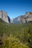 America;American;bluff;bluffs;Bridal-Veil-Fall;Bridal-Veil-Falls;Bridalveil-Creek;Bridalveil-Fall;Bridalveil-Falls;CA;California;cascade;cascades;cliff;cliffs;El-Capitan;El-Capitan-Granite;fall;falls;forest;forested;forests;gorge;gorges;granite;granite-dome;granite-monolith;Half-Dome;monoliths;mountain;mountainous;Mountains;national-park;national-parks;natural;nature;rock-formation;rock-formations;scene;scenic;Sierra-Nevada;Sierra-Nevada-foothills;States;tree;trees;Tunnel-View;U.S.A;UN-world-heritage-area;UN-world-heritage-site;UNESCO-World-Heritage-area;UNESCO-World-Heritage-Site;united-nations-world-heritage-area;united-nations-world-heritage-site;United-States;United-States-of-America;USA;valley;valleys;water;water-fall;water-falls;waterfall;waterfalls;West-Coast;West-United-States;West-US;West-USA;Western-United-States;Western-US;Western-USA;wet;world-heritage;world-heritage-area;world-heritage-areas;World-Heritage-Park;World-Heritage-site;World-Heritage-Sites;Yosemite;Yosemite-N.P.;Yosemite-Nat-Pk;Yosemite-National-Park;Yosemite-NP;Yosemite-Valley