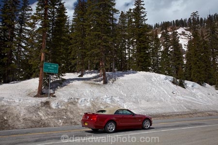 10,640-ft;3243-m;America;American-Southwest;automobile;automobiles;car;cars;CO;Coal-Bank-Pass;cold;Colorado;Colorado-Plateau;Colorado-Plateau-Province;Colorado-Scenic-and-Historic-Byway-System;ford;ford-mustang;ford-mustangs;fords;forest;forests;Million-Dollar-Highway;mountain-pass;mountain-passes;mustang;mustang-convertables;mustang-convertible;mustangs;road-sign;road-signs;Rocky-Mountains;San-Juan-Mountains;San-Juan-National-Forest;San-Juan-Skyway;San-Juan-Skyway-Scenic-Byway;sign;signs;snow;snowy;South-west-United-States;South-west-US;South-west-USA;South-western-United-States;South-western-US;South-western-USA;Southwest-United-States;Southwest-US;Southwest-USA;Southwestern-United-States;Southwestern-US;Southwestern-USA;States;summit;summits;the-Southwest;U.S.-Highway-550;U.S.A;United-States;United-States-of-America;US-550;USA;winter;wood;woods
