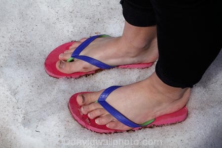 10,910-ft;3325-m;America;American-Southwest;bare-feet;CO;cold;Colorado;Colorado-Plateau;Colorado-Plateau-Province;Colorado-Scenic-and-Historic-Byway-System;Flip_flops;freezing;inappropriately-dressed;jandals;Million-Dollar-Highway;Molas-Pass;mountain-pass;mountain-passes;pink;purple;Rocky-Mountains;San-Juan-Mountains;San-Juan-Skyway;San-Juan-Skyway-Scenic-Byway;sandals;snow;snowy;South-west-United-States;South-west-US;South-west-USA;South-western-United-States;South-western-US;South-western-USA;Southwest-United-States;Southwest-US;Southwest-USA;Southwestern-United-States;Southwestern-US;Southwestern-USA;States;The-Colorado-Trail;the-Southwest;thongs;U.S.-Highway-550;U.S.A;United-States;United-States-of-America;US-550;USA;winter