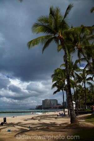 America;American;beach;beaches;coast;coastal;coastline;Hawaii;Hawaiian-Islands;HI;holiday;holidays;Honolulu;hot;Island-of-Oahu;Oahu;Oahu;Oahu-Island;ocean;oceans;Pacific;palm;palm-tree;palm-trees;palms;sand;sandy;sea;seas;shore;shoreline;State-of-Hawaii;States;summer;tropical;tropical-beach;tropical-beaches;tropical-island;tropical-islands;tropics;U.S.A;United-States;United-States-of-America;USA;vacation;vacations;Waikiki;Waikiki-Bay;Waikiki-Beach