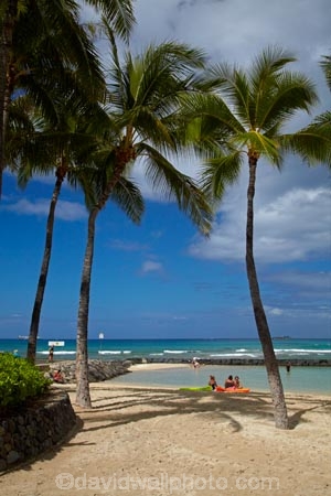 America;American;beach;beaches;coast;coastal;coastline;Hawaii;Hawaiian-Islands;HI;holiday;holidays;Honolulu;hot;Island-of-Oahu;Oahu;Oahu;Oahu-Island;ocean;oceans;Pacific;palm;palm-tree;palm-trees;palms;people;person;sand;sandy;sea;seas;shore;shoreline;State-of-Hawaii;States;summer;tourism;tourist;tourists;tropical;tropical-beach;tropical-beaches;tropical-island;tropical-islands;tropics;U.S.A;United-States;United-States-of-America;USA;vacation;vacations;visitor;visitors;Waikiki;Waikiki-Bay;Waikiki-Beach