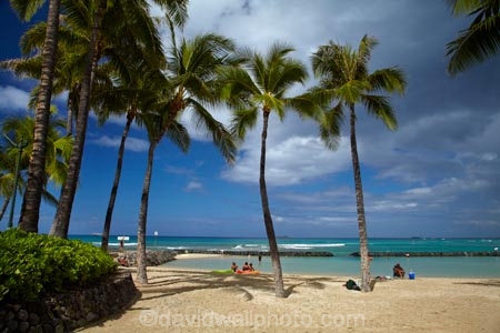 America;American;beach;beaches;coast;coastal;coastline;Hawaii;Hawaiian-Islands;HI;holiday;holidays;Honolulu;hot;Island-of-Oahu;Oahu;Oahu;Oahu-Island;ocean;oceans;Pacific;palm;palm-tree;palm-trees;palms;people;person;sand;sandy;sea;seas;shore;shoreline;State-of-Hawaii;States;summer;tourism;tourist;tourists;tropical;tropical-beach;tropical-beaches;tropical-island;tropical-islands;tropics;U.S.A;United-States;United-States-of-America;USA;vacation;vacations;visitor;visitors;Waikiki;Waikiki-Bay;Waikiki-Beach
