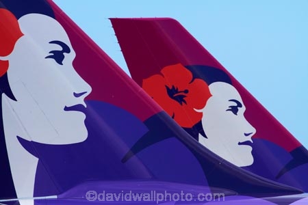 Aeroplane;Aeroplanes;Aircraft;Aircrafts;airline;airliner;airliners;airlines;Airplane;Airplanes;aloha;altitude;America;American;aviation;Flight;Flights;Flying;Hawaii;Hawaiian-Airlines;Hawaiian-Airlines-plane;Hawaiian-Airlines-planes;Hawaiian-Islands;HI;holidays;Honolulu;Honolulu-Airport;Honolulu-International-Airport;icon;icons;Island-of-Oahu;jet;jet-plane;jet-planes;jets;Oahu;Oahu;Oahu-Island;Pacific;passenger-plane;passenger-planes;Plane;plane-tail;plane-tails;Planes;State-of-Hawaii;States;symbol;symbols;tail-tails;Tails;Tourism;Transport;Transportation;Transports;Travel;Traveling;Travelling;Trip;Trips;U.S.A;United-States;United-States-of-America;USA;Vacation;Vacations