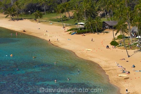 America;American;beach;beaches;coast;coastal;coastline;coastlines;coral-reef;coral-reefs;corals;dive-site;dive-sites;diving;ecosystem;environment;Hanauma;Hanauma-Bay;Hanauma-Bay-Beach;Hanauma-Bay-Nature-Preserve;Hanauma-Bay-Nature-Reserve;Hanauma-Bay-State-Park;Hanauma-Beach;Hanauma-Crater;Hawaii;Hawaiian-Islands;HI;Island-of-Oahu;leisure;marine;marine-environment;marine-life;marinelife;Oahu;Oahu;Oahu-Island;Ocean;oceanlife;Oceans;Outdoor;Outdoors;Outside;Pacific;palm;palm-tree;palm-trees;palms;people;person;Persons;Recreation;reef;reefs;sand;sandy;sea;sealife;seas;snorkelers;snorkeling;snorkellers;snorkelling;snorleler;snorleller;State-of-Hawaii;States;tourisim;tourism;tourist;tourists;tropical-beach;tropical-beaches;tropical-island;tropical-islands;tropical-reef;tropical-reefs;U.S.A;United-States;United-States-of-America;USA;visitor