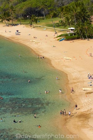 America;American;beach;beaches;coast;coastal;coastline;coastlines;coral-reef;coral-reefs;corals;dive-site;dive-sites;diving;ecosystem;environment;Hanauma;Hanauma-Bay;Hanauma-Bay-Beach;Hanauma-Bay-Nature-Preserve;Hanauma-Bay-Nature-Reserve;Hanauma-Bay-State-Park;Hanauma-Beach;Hanauma-Crater;Hawaii;Hawaiian-Islands;HI;Island-of-Oahu;leisure;marine;marine-environment;marine-life;marinelife;Oahu;Oahu;Oahu-Island;Ocean;oceanlife;Oceans;Outdoor;Outdoors;Outside;Pacific;people;person;Persons;Recreation;reef;reefs;sand;sandy;sea;sealife;seas;snorkelers;snorkeling;snorkellers;snorkelling;snorleler;snorleller;State-of-Hawaii;States;tourisim;tourism;tourist;tourists;tropical-beach;tropical-beaches;tropical-island;tropical-islands;tropical-reef;tropical-reefs;U.S.A;United-States;United-States-of-America;USA;visitor