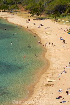 America;American;beach;beaches;coast;coastal;coastline;coastlines;coral-reef;coral-reefs;corals;dive-site;dive-sites;diving;ecosystem;environment;Hanauma;Hanauma-Bay;Hanauma-Bay-Beach;Hanauma-Bay-Nature-Preserve;Hanauma-Bay-Nature-Reserve;Hanauma-Bay-State-Park;Hanauma-Beach;Hanauma-Crater;Hawaii;Hawaiian-Islands;HI;Island-of-Oahu;leisure;marine;marine-environment;marine-life;marinelife;Oahu;Oahu;Oahu-Island;Ocean;oceanlife;Oceans;Outdoor;Outdoors;Outside;Pacific;people;person;Persons;Recreation;reef;reefs;sand;sandy;sea;sealife;seas;snorkelers;snorkeling;snorkellers;snorkelling;snorleler;snorleller;State-of-Hawaii;States;tourisim;tourism;tourist;tourists;tropical-beach;tropical-beaches;tropical-island;tropical-islands;tropical-reef;tropical-reefs;U.S.A;United-States;United-States-of-America;USA;visitor