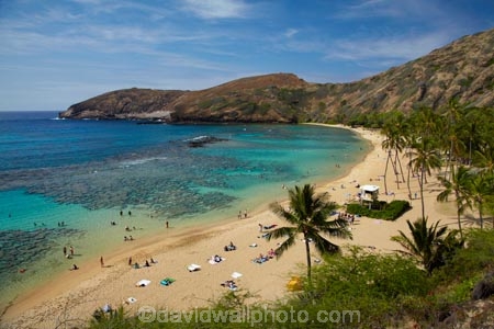 America;American;beach;beaches;coast;coastal;coastline;coastlines;coral-reef;coral-reefs;corals;dive-site;dive-sites;diving;ecosystem;environment;Hanauma;Hanauma-Bay;Hanauma-Bay-Beach;Hanauma-Bay-Nature-Preserve;Hanauma-Bay-Nature-Reserve;Hanauma-Bay-State-Park;Hanauma-Beach;Hanauma-Crater;Hawaii;Hawaiian-Islands;HI;Island-of-Oahu;leisure;marine;marine-environment;marine-life;marinelife;Oahu;Oahu;Oahu-Island;Ocean;oceanlife;Oceans;Outdoor;Outdoors;Outside;Pacific;palm;palm-tree;palm-trees;palms;people;person;Persons;Recreation;reef;reefs;sand;sandy;sea;seas;State-of-Hawaii;States;tourisim;tourism;tourist;tourists;tropical-beach;tropical-beaches;tropical-island;tropical-islands;tropical-reef;tropical-reefs;U.S.A;United-States;United-States-of-America;USA;visitor;volcanic-crater