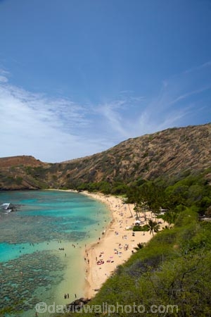 America;American;beach;beaches;coast;coastal;coastline;coastlines;coral-reef;coral-reefs;corals;dive-site;dive-sites;diving;ecosystem;environment;Hanauma;Hanauma-Bay;Hanauma-Bay-Beach;Hanauma-Bay-Nature-Preserve;Hanauma-Bay-Nature-Reserve;Hanauma-Bay-State-Park;Hanauma-Beach;Hanauma-Crater;Hawaii;Hawaiian-Islands;HI;Island-of-Oahu;leisure;marine;marine-environment;marine-life;marinelife;Oahu;Oahu;Oahu-Island;Ocean;oceanlife;Oceans;Outdoor;Outdoors;Outside;Pacific;people;person;Persons;Recreation;reef;reefs;sand;sandy;sea;sealife;seas;snorkelers;snorkeling;snorkellers;snorkelling;snorleler;snorleller;State-of-Hawaii;States;tourisim;tourism;tourist;tourists;tropical-beach;tropical-beaches;tropical-island;tropical-islands;tropical-reef;tropical-reefs;U.S.A;United-States;United-States-of-America;USA;visitor;volcanic-crater