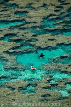 America;American;coral-reef;coral-reefs;corals;dive-site;dive-sites;diving;ecosystem;environment;Hanauma;Hanauma-Bay;Hanauma-Bay-Nature-Preserve;Hanauma-Bay-Nature-Reserve;Hanauma-Bay-State-Park;Hanauma-Crater;Hawaii;Hawaiian-Islands;HI;Island-of-Oahu;leisure;marine;marine-environment;marine-life;marinelife;Oahu;Oahu;Oahu-Island;Ocean;oceanlife;Oceans;Outdoor;Outdoors;Outside;Pacific;people;person;Persons;Recreation;reef;reefs;sea;sealife;seas;snorkelers;snorkeling;snorkellers;snorkelling;snorleler;snorleller;State-of-Hawaii;States;tourisim;tourism;tourist;tourists;tropical-beach;tropical-beaches;tropical-island;tropical-islands;tropical-reef;tropical-reefs;U.S.A;United-States;United-States-of-America;USA;visitor