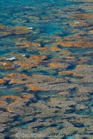 America;American;coral-reef;coral-reefs;corals;dive-site;dive-sites;diving;ecosystem;environment;Hanauma;Hanauma-Bay;Hanauma-Bay-Nature-Preserve;Hanauma-Bay-Nature-Reserve;Hanauma-Bay-State-Park;Hanauma-Crater;Hawaii;Hawaiian-Islands;HI;Island-of-Oahu;leisure;marine;marine-environment;marine-life;marinelife;Oahu;Oahu;Oahu-Island;Ocean;oceanlife;Oceans;Outdoor;Outdoors;Outside;Pacific;people;person;Persons;Recreation;reef;reefs;sea;sealife;seas;snorkelers;snorkeling;snorkellers;snorkelling;snorleler;snorleller;State-of-Hawaii;States;tourisim;tourism;tourist;tourists;tropical-beach;tropical-beaches;tropical-island;tropical-islands;tropical-reef;tropical-reefs;U.S.A;United-States;United-States-of-America;USA;visitor