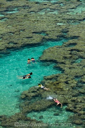 America;American;coral-reef;coral-reefs;corals;dive-site;dive-sites;diving;ecosystem;environment;Hanauma;Hanauma-Bay;Hanauma-Bay-Nature-Preserve;Hanauma-Bay-Nature-Reserve;Hanauma-Bay-State-Park;Hanauma-Crater;Hawaii;Hawaiian-Islands;HI;Island-of-Oahu;leisure;marine;marine-environment;marine-life;marinelife;Oahu;Oahu;Oahu-Island;Ocean;oceanlife;Oceans;Outdoor;Outdoors;Outside;Pacific;people;person;Persons;Recreation;reef;reefs;sea;sealife;seas;snorkelers;snorkeling;snorkellers;snorkelling;snorleler;snorleller;State-of-Hawaii;States;tourisim;tourism;tourist;tourists;tropical-beach;tropical-beaches;tropical-island;tropical-islands;tropical-reef;tropical-reefs;U.S.A;United-States;United-States-of-America;USA;visitor