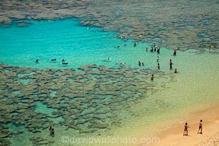 America;American;beach;beaches;coast;coastal;coastline;coastlines;coral-reef;coral-reefs;corals;dive-site;dive-sites;diving;ecosystem;environment;Hanauma;Hanauma-Bay;Hanauma-Bay-Beach;Hanauma-Bay-Nature-Preserve;Hanauma-Bay-Nature-Reserve;Hanauma-Bay-State-Park;Hanauma-Beach;Hanauma-Crater;Hawaii;Hawaiian-Islands;HI;Island-of-Oahu;leisure;marine;marine-environment;marine-life;marinelife;Oahu;Oahu;Oahu-Island;Ocean;oceanlife;Oceans;Outdoor;Outdoors;Outside;Pacific;people;person;Persons;Recreation;reef;reefs;sand;sandy;sea;sealife;seas;snorkelers;snorkeling;snorkellers;snorkelling;snorleler;snorleller;State-of-Hawaii;States;tourisim;tourism;tourist;tourists;tropical-beach;tropical-beaches;tropical-island;tropical-islands;tropical-reef;tropical-reefs;U.S.A;United-States;United-States-of-America;USA;visitor