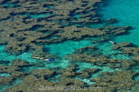 America;American;coral-reef;coral-reefs;corals;dive-site;dive-sites;diving;ecosystem;environment;Hanauma;Hanauma-Bay;Hanauma-Bay-Nature-Preserve;Hanauma-Bay-Nature-Reserve;Hanauma-Bay-State-Park;Hanauma-Crater;Hawaii;Hawaiian-Islands;HI;Island-of-Oahu;leisure;marine;marine-environment;marine-life;marinelife;Oahu;Oahu;Oahu-Island;Ocean;oceanlife;Oceans;Outdoor;Outdoors;Outside;Pacific;people;person;Persons;Recreation;reef;reefs;sea;sealife;seas;snorkelers;snorkeling;snorkellers;snorkelling;snorleler;snorleller;State-of-Hawaii;States;tourisim;tourism;tourist;tourists;tropical-beach;tropical-beaches;tropical-island;tropical-islands;tropical-reef;tropical-reefs;U.S.A;United-States;United-States-of-America;USA;visitor
