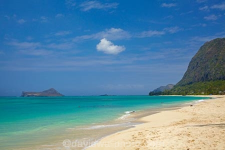 America;American;beach;beaches;coast;coastal;coastline;Hawaii;Hawaiian-Islands;HI;holiday;holidays;hot;island;Island-of-Oahu;islands;Manana-Is;Manana-Island;Oahu;Oahu;Oahu-Island;ocean;oceans;Pacific;people;person;sand;sandy;sea;seas;shore;shoreline;State-of-Hawaii;States;summer;surf;swimmer;swimmers;swimming;tourism;tourist;tourists;tropical;tropical-beach;tropical-beaches;tropical-island;tropical-islands;tropics;U.S.A;United-States;United-States-of-America;USA;vacation;vacations;visitor;visitors;Waimanalo-Beach;Waimanalo-Beach-Park;wave;waves