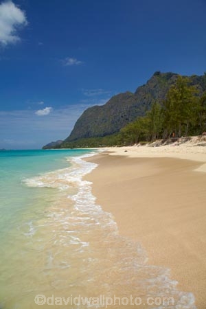 America;American;beach;beaches;coast;coastal;coastline;Hawaii;Hawaiian-Islands;HI;holiday;holidays;hot;Island-of-Oahu;Oahu;Oahu;Oahu-Island;ocean;oceans;Pacific;sand;sandy;sea;seas;shore;shoreline;State-of-Hawaii;States;summer;surf;tropical;tropical-beach;tropical-beaches;tropical-island;tropical-islands;tropics;U.S.A;United-States;United-States-of-America;USA;vacation;vacations;Waimanalo-Beach;Waimanalo-Beach-Park;wave;waves