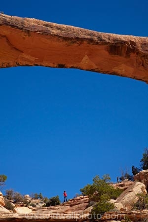 America;American-Southwest;archway;archways;Armstrong-Canyon;Cedar-Mesa-Formation;female;females;geological;geology;natural-arch;Natural-Arches;natural-bridge;natural-bridges;Natural-Bridges-N.M.;Natural-Bridges-National-Monument;natural-geological-formation;natural-geological-formations;Natural-Rock-Arch;natural-rock-arches;natural-rock-archs;natural-rock-bridge;natural-rock-bridges;Owachomo;Owachomo-Bridge;Owachomo-Natural-Bridge;people;Permian-sandstone;person;rock;rock-arch;rock-arches;rock-bridge;rock-bridges;rock-formation;rock-formations;rock-outcrop;rock-outcrops;rock-tor;rock-torr;rock-torrs;rock-tors;rocks;Sandstone;South-west-United-States;South-west-US;South-west-USA;South-western-United-States;South-western-US;South-western-USA;Southwest-United-States;Southwest-US;Southwest-USA;Southwestern-United-States;Southwestern-US;Southwestern-USA;States;stone;the-Southwest;tourism;tourist;tourists;U.S.-National-Monument;U.S.-National-Monuments;U.S.A;United-States;United-States-of-America;unusual-natural-feature;unusual-natural-features;unusual-natural-formation;unusual-natural-formations;USA;UT;Utah;visitor;visitors;wilderness;wilderness-area;wilderness-areas;woman;women