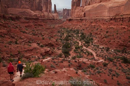 America;American-Southwest;Arches-N.P.;Arches-National-Park;Arches-NP;Entrada-Sandstone;geological;geology;hiker;hikers;hiking-path;hiking-paths;hiking-track;hiking-tracks;hiking-trail;hiking-trails;Moab;national-park;national-parks;natural-geological-formation;natural-geological-formations;Navajo-Sandstone;Park-Ave;Park-Avenue;Park-Avenue-Track;Park-Avenue-Trail;path;paths;pathway;pathways;people;person;rock;rock-formation;rock-formations;rocks;route;routes;sandstone;South-west-United-States;South-west-US;South-west-USA;South-western-United-States;South-western-US;South-western-USA;Southwest-United-States;Southwest-US;Southwest-USA;Southwestern-United-States;Southwestern-US;Southwestern-USA;States;stone;the-Southwest;tourism;tourist;tourists;track;tracks;trail;trails;tramping-track;tramping-tracks;tramping-trail;tramping-trails;U.S.A;United-States;United-States-of-America;unusual-natural-feature;unusual-natural-features;unusual-natural-formation;unusual-natural-formations;US-National-Park;US-National-Parks;USA;UT;Utah;walker;walkers;walking-path;walking-paths;walking-track;walking-tracks;walking-trail;walking-trails;walkway;walkways;wilderness;wilderness-area;wilderness-areas