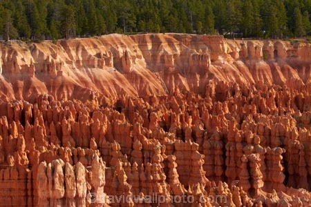 America;American-Southwest;badland;badlands;Bryce-Amphitheater;Bryce-Amphitheatre;Bryce-Canyon;Bryce-Canyon-N.P.;Bryce-Canyon-National-Park;Bryce-Canyon-NP;clay;column;columns;earth-pyramid;earth-pyramids;eroded;erosion;fairy-chimney;fairy-chimneys;formation;formations;geological;geology;hoodoo;hoodoos;layer;layers;lookout;lookouts;national-park;national-parks;natural-geological-formation;natural-geological-formations;natural-tower;natural-towers;North-America;overlook;Paunsaugunt-Plateau;pillar;pillars;pinnacle;pinnacles;rock;rock-chimney;rock-chimneys;rock-column;rock-columns;rock-formation;rock-formations;rock-pillar;rock-pillars;rock-pinnacle;rock-pinnacles;rock-spire;rock-spires;rock-tower;rock-towers;rocks;Sandstone;South-west-United-States;South-west-US;South-west-USA;South-western-United-States;South-western-US;South-western-USA;Southwest-United-States;Southwest-US;Southwest-USA;Southwestern-United-States;Southwestern-US;Southwestern-USA;States;stone;tent-rock;tent-rocks;the-Southwest;U.S.A;United-States;United-States-of-America;unusual-natural-feature;unusual-natural-features;unusual-natural-formation;unusual-natural-formations;USA;UT;Utah;view;viewpoint;viewpoints;views;weathered;weathering;wilderness;wilderness-area;wilderness-areas