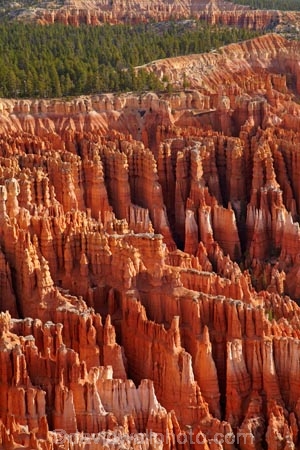 America;American-Southwest;badland;badlands;Bryce-Amphitheater;Bryce-Amphitheatre;Bryce-Canyon;Bryce-Canyon-N.P.;Bryce-Canyon-National-Park;Bryce-Canyon-NP;clay;column;columns;earth-pyramid;earth-pyramids;eroded;erosion;fairy-chimney;fairy-chimneys;formation;formations;geological;geology;hiking-path;hiking-paths;hiking-track;hiking-tracks;hiking-trail;hiking-trails;hoodoo;hoodoos;Inspiration-Point;layer;layers;lookout;lookouts;national-park;national-parks;natural-geological-formation;natural-geological-formations;natural-tower;natural-towers;Navaho-Loop;Navaho-Trail;North-America;overlook;path;paths;pathway;pathways;Paunsaugunt-Plateau;pillar;pillars;pinnacle;pinnacles;rock;rock-chimney;rock-chimneys;rock-column;rock-columns;rock-formation;rock-formations;rock-pillar;rock-pillars;rock-pinnacle;rock-pinnacles;rock-spire;rock-spires;rock-tower;rock-towers;rocks;route;routes;Sandstone;South-west-United-States;South-west-US;South-west-USA;South-western-United-States;South-western-US;South-western-USA;Southwest-United-States;Southwest-US;Southwest-USA;Southwestern-United-States;Southwestern-US;Southwestern-USA;States;stone;Sunset-Point;tent-rock;tent-rocks;the-Southwest;track;tracks;trail;trails;tramping-track;tramping-tracks;tramping-trail;tramping-trails;U.S.A;United-States;United-States-of-America;unusual-natural-feature;unusual-natural-features;unusual-natural-formation;unusual-natural-formations;USA;UT;Utah;view;viewpoint;viewpoints;views;walking-path;walking-paths;walking-track;walking-tracks;walking-trail;walking-trails;walkway;walkways;weathered;weathering;wilderness;wilderness-area;wilderness-areas